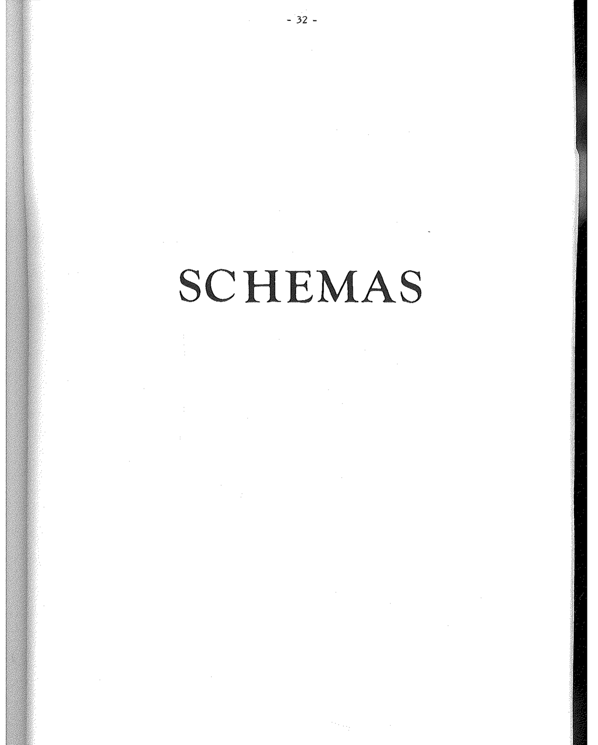 Schema IV — Integratore visivo