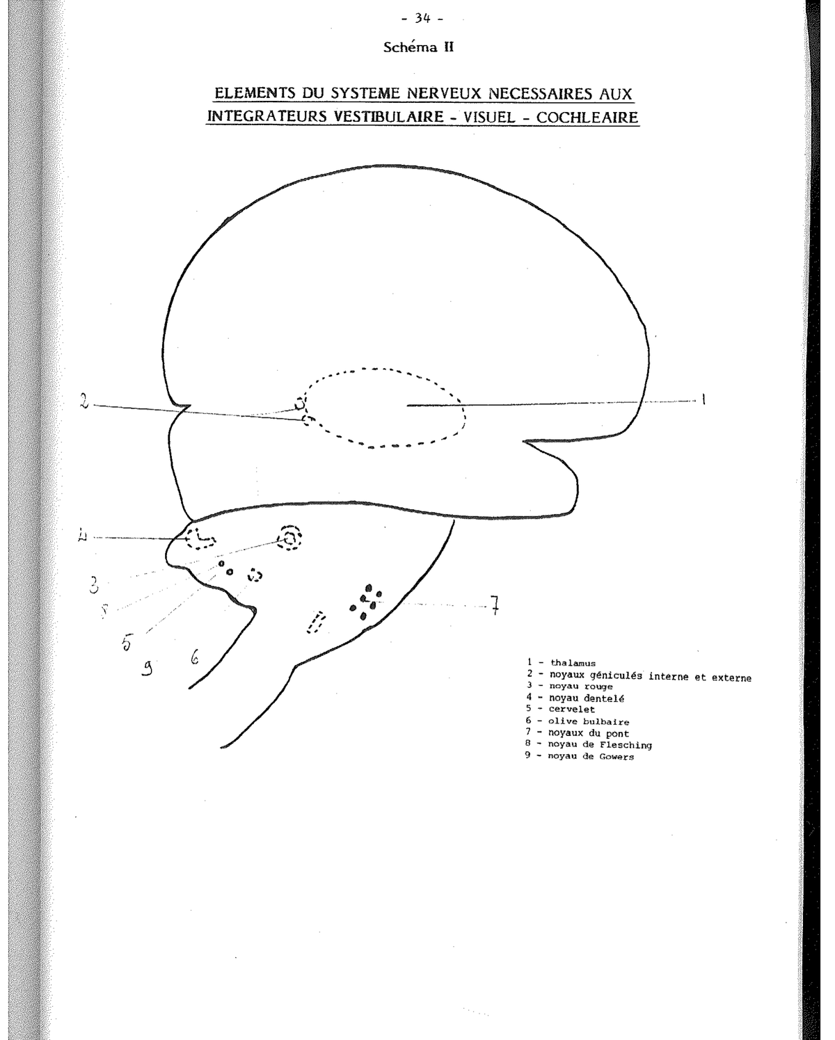 Schema VI — Integratore cocleare completo