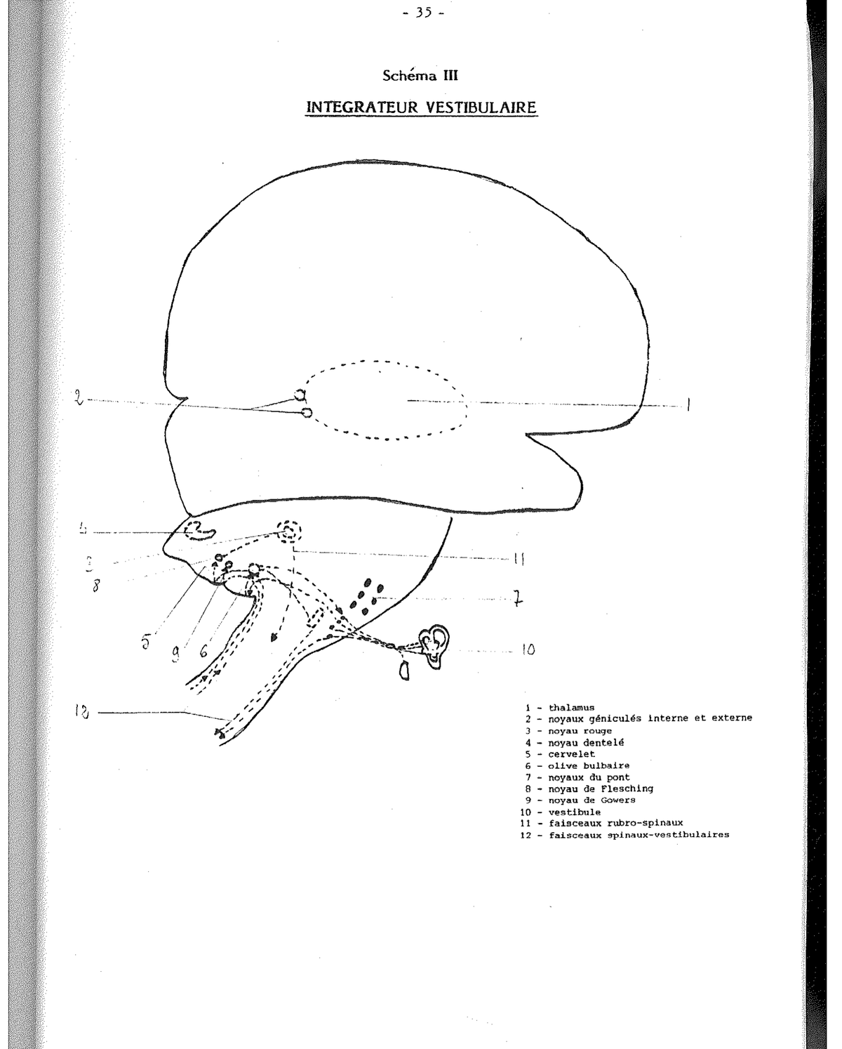 Schema VII — Sintesi Oggetto-Corpo