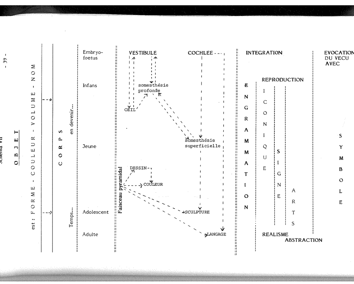Schema XII — Temi RSM