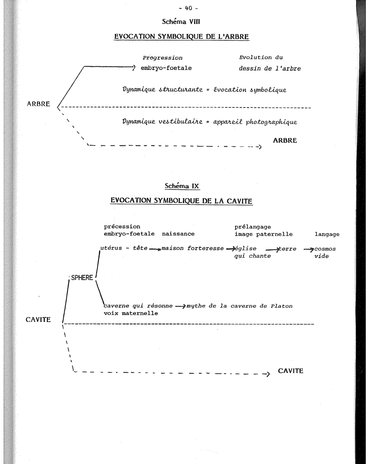 Schema XIII (1/2) — Temi MF/VM
