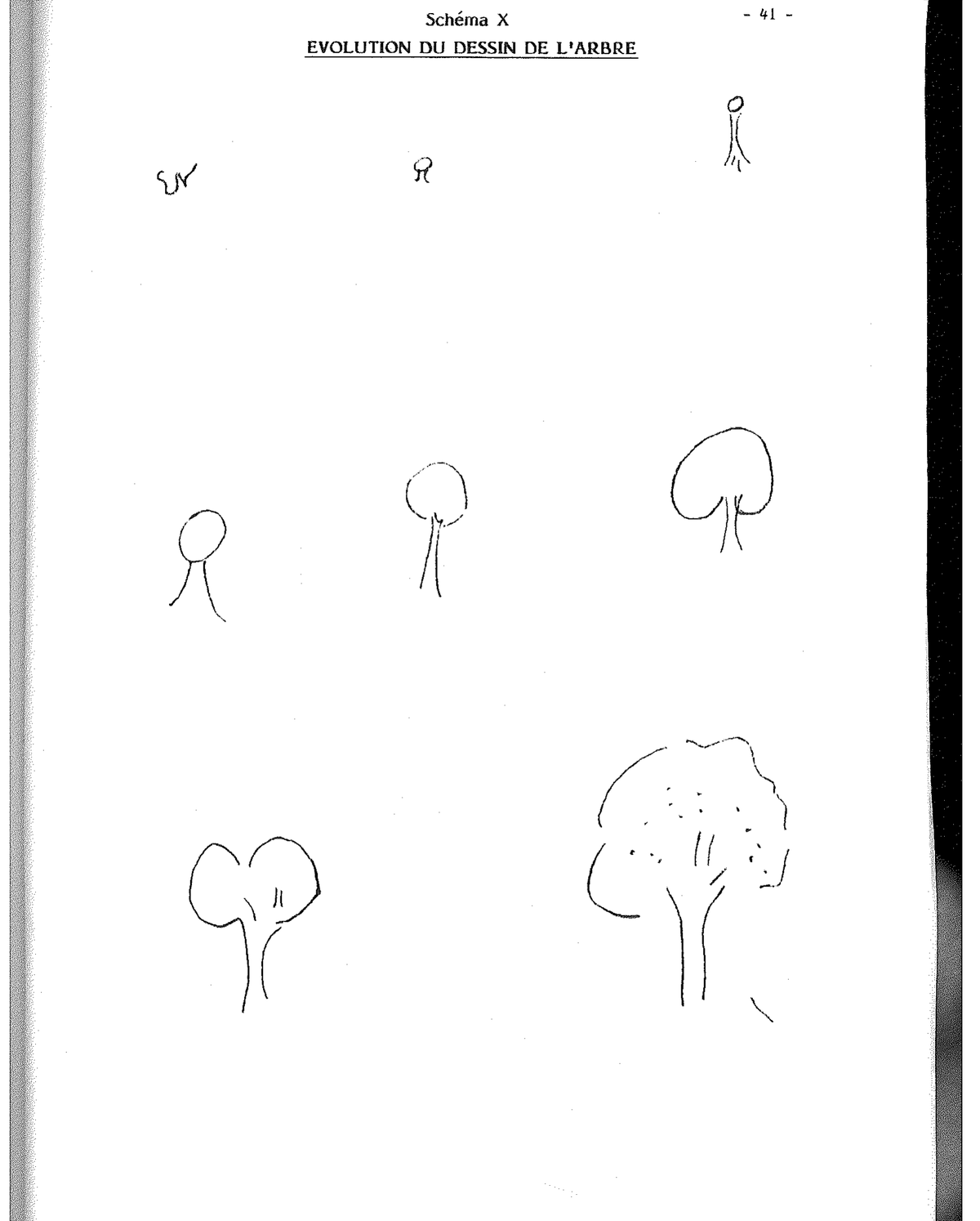 Schema XIII (2/2) — Temi MF/VM