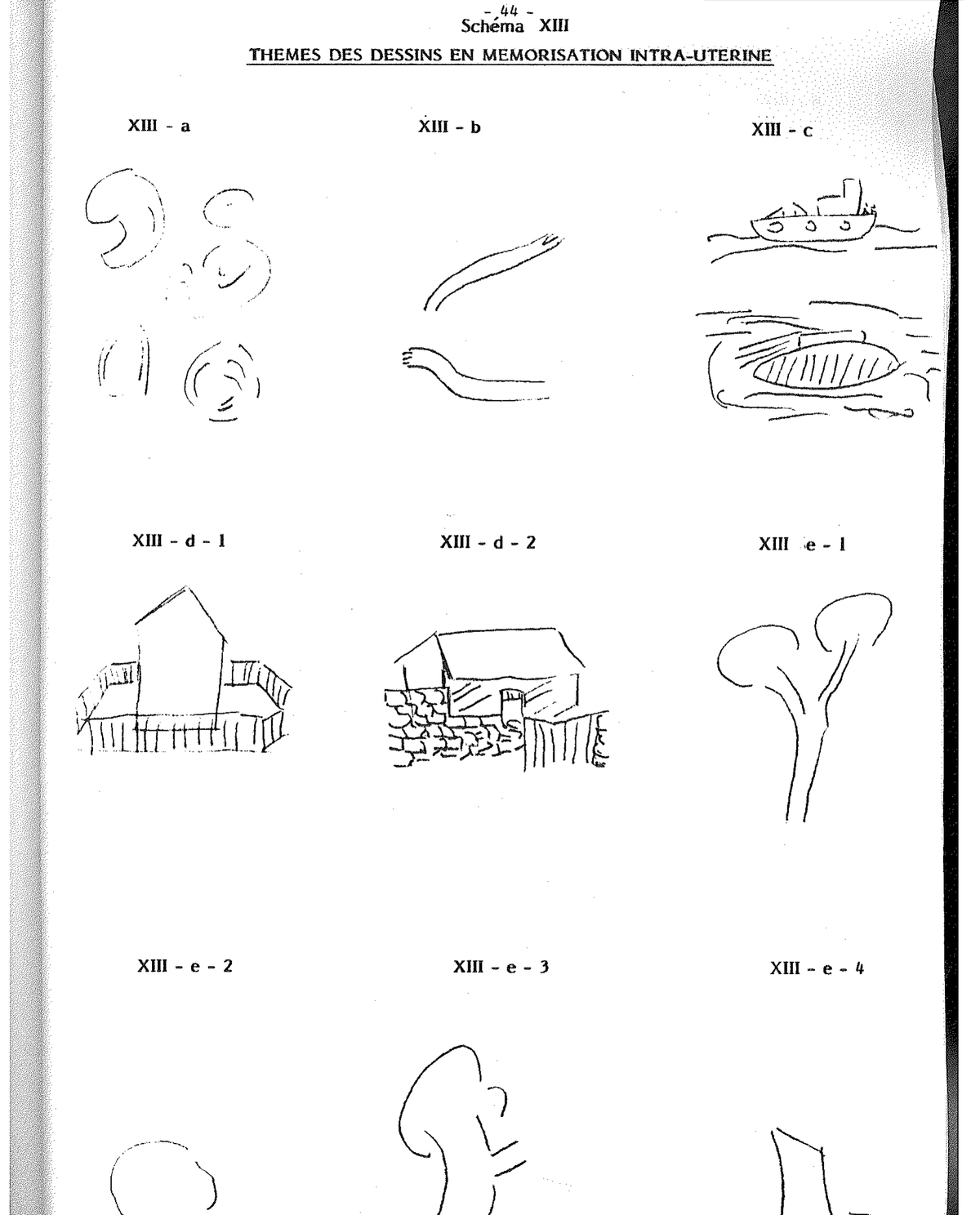 Schema XV (2/2) — Temi Pre-linguaggio